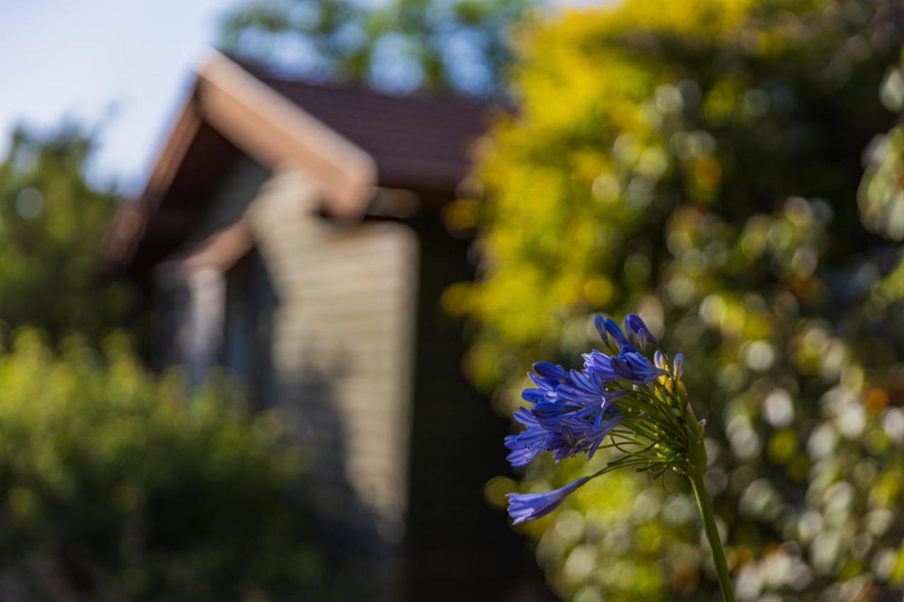 Nofey Gonen Holiday Village Exterior foto